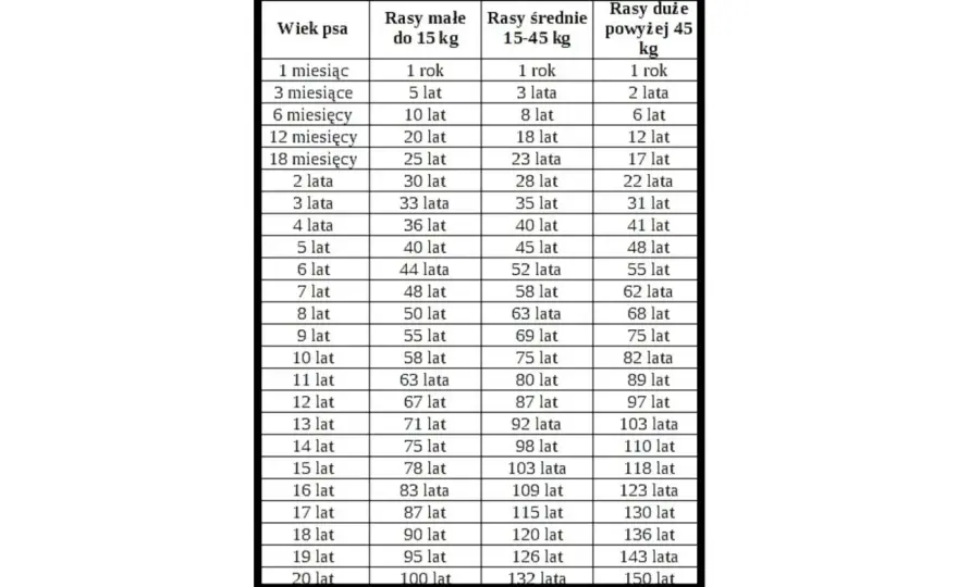 Nowy kalkulator wieku psa – psie lata na ludzkie kalkulator
